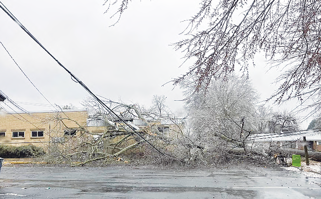 A TREE BEHIND REGIONS BANK and the Memorial Building fell Feb. 2 due to ice from last week’s icy winter storm knocking out power to much of the downtown area and central part of Sheridan. Photo courtesy of Jayme Black