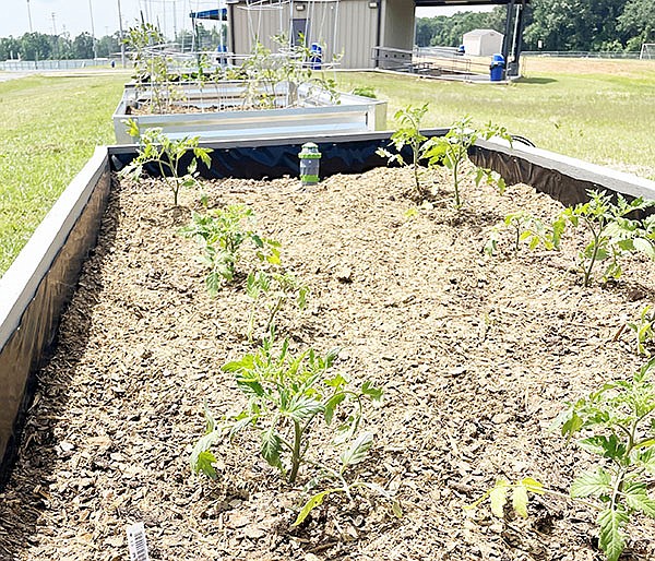 COMMUNITY GARDENS are one of the newest projects Sheridan residents can enjoy and benefit from this summer thanks to local businesses and volunteers who recently donated supplies installed and planted multiple garden beds on the Sheridan Parks & Recreation grounds. Photo by Gretchen Ritchey