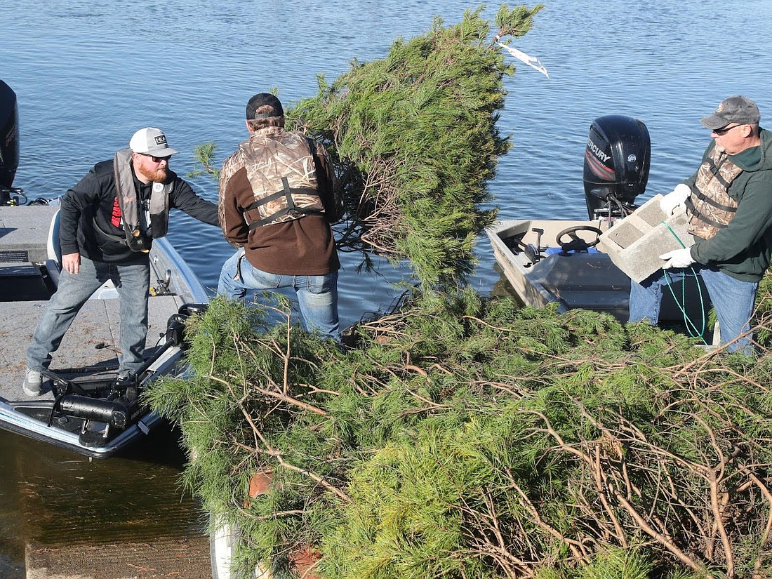 Cutline: Game and Fish officials place retired Christmas trees that will become new fish habitat. (Photo: Arkansas G&FC)