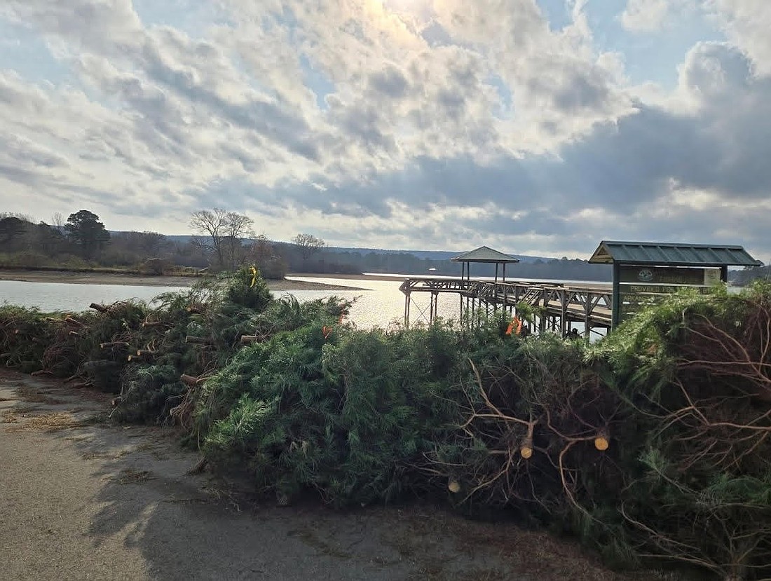 Cutline - Cover for creating fish habitat is there for the taking. (Photo: AG&FC)